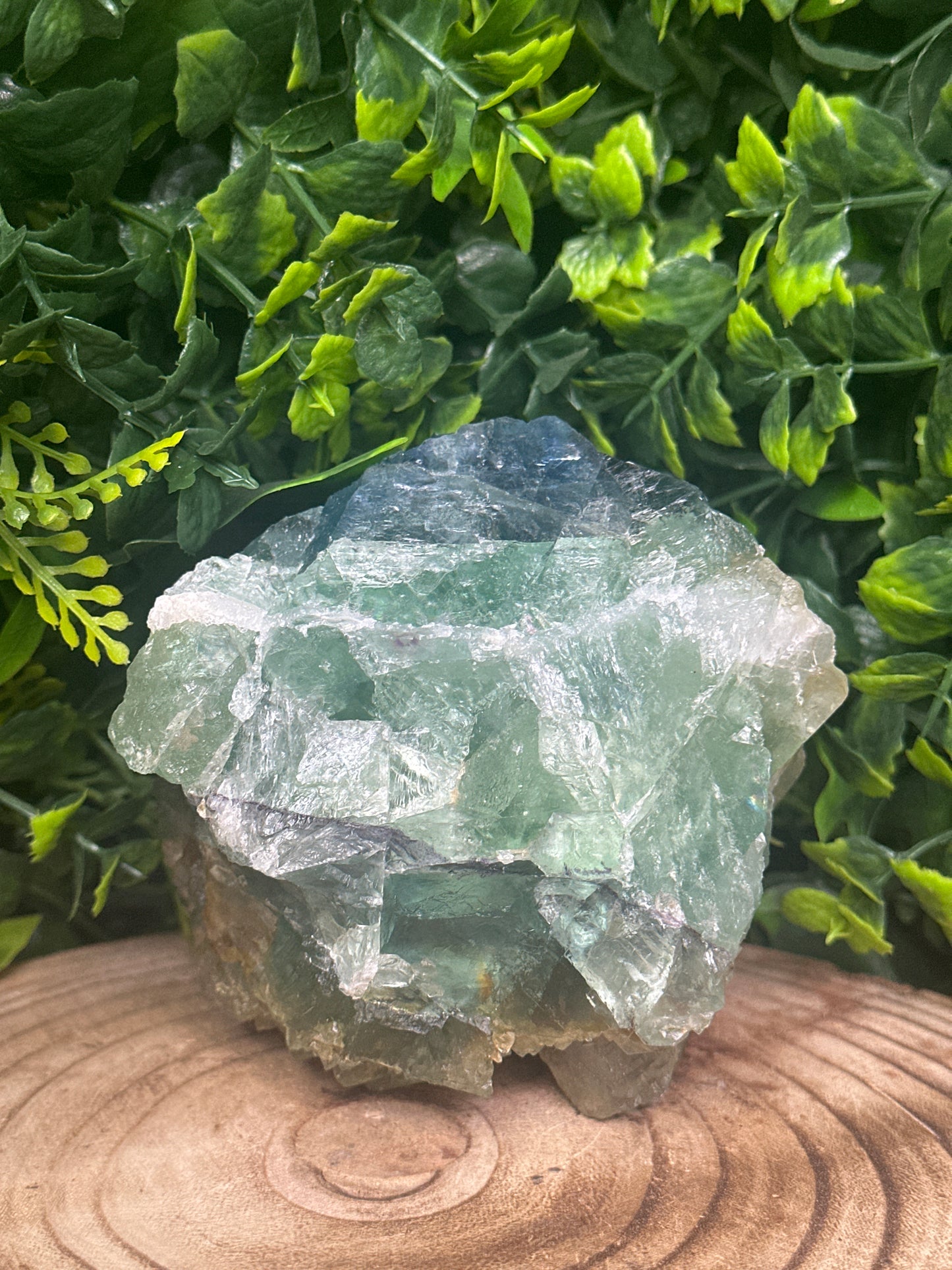 Fluorite Statement 1kg