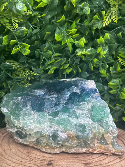 Fluorite Statement 2.5kg